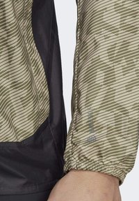 Adidas Terrex TRAIL - Cortaviento - savanna   focus olive