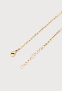 Χρυσή αλυσίδα λαιμού με κούμπωμα αστακού σε μία άκρη και ρυθμιζόμενους κρίκους ανοιχτού τύπου στην άλλη, εμφανίζεται σε λευκό φόντο.