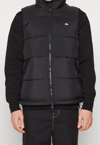 Dickies Vesta - black