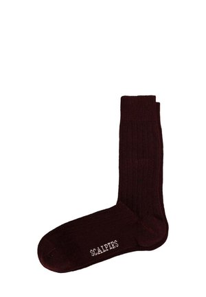 ICON HAFFEL - Calcetines - burgundy