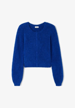 Karvane, erksinine kardigan ümarate kaeluste, pikkade varrukate ja kuue sellele vastava rinnanööbiga. Lühike pikkus.