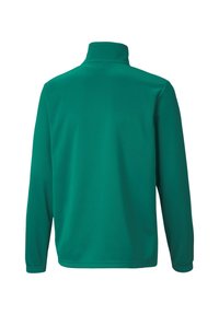 Langärmliger, hochkragiger Fleece-Pullover in einheitlichem Grün. Glatte Textur mit lockerer Passform und ohne sichtbare Logos oder Verzierungen.