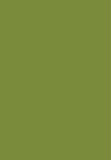 Color (1)