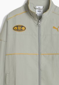 Veste gris clair avec accents jaunes, fermeture zippée, col montant et patch "Sonic the Hedgehog" mettant en avant les personnages. Tissu doux et texturé.