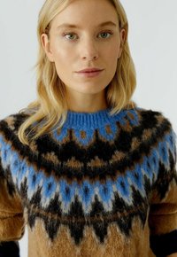 Gebreide trui met een ronde blauwe halslijn, een bruine basis en geometrische patronen in zwart, blauw en crème. Zachte, vlezige textuur.