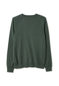Grüner Strickpullover mit langen Ärmeln, rundem Halsausschnitt, gerippten Bündchen und Saum. Er zeichnet sich durch eine weiche Textur und ein schlichtes Design aus.