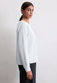 Felpa azzurra con maniche lunghe, polsini a coste e una vestibilità comoda. Presenta un collo rotondo e una texture liscia.