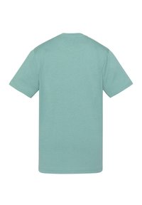 Jasnozielona bawełniana koszulka, krótkie rękawy, okrągły dekolt, gładka tekstura, prosty design, bez widocznych logo ani wzorów z tyłu.