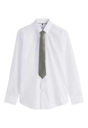 White long-sleeve dress shirt with a pointed collar and a gray patterned necktie neatly tied in front.