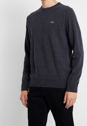 Mann trägt dunkelgrauen Rundhalspullover mit kleinem grünem Krokodil-Logo auf der Brust und schwarze Hose vor einfarbigem Hintergrund.