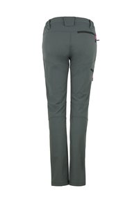 Peak Mountain Broek - gris