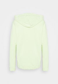 Felpa con cappuccio verde chiaro, realizzata in tessuto morbido. Presenta polsini e orlo elasticizzati, con un design semplice e senza loghi o motivi visibili.