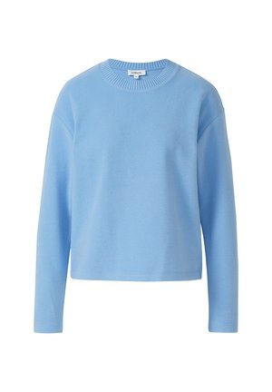 Helles blauer Sweatshirt mit langen Ärmeln, geripptem Kragen und entspannter Passform. Hergestellt aus weichem Stoff mit glatter Textur.