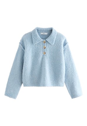 Pull bleu clair texturé à manches longues avec col et trois boutons en bois sur la patte de boutonnage devant.