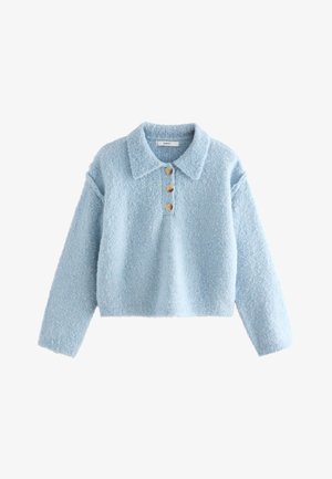 Pull bleu clair texturé à manches longues avec col et trois boutons en bois sur la patte de boutonnage devant.
