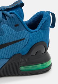 Nike Performance Scarpe da allenamento - blue