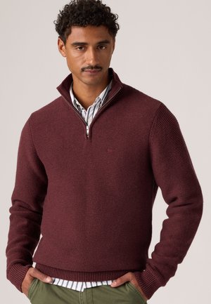 Hombre con cabello rizado y bigote, que lleva un suéter burdeos con cremallera hasta un cuarto sobre una camisa de rayas, manos en los bolsillos de pantalones verdes, fondo neutro.