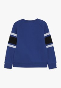 Blaues Langarm-Sweatshirt mit schwarz-weißen, horizontalen Streifen an den Ärmeln, gerippten Bündchen und Rundhalsausschnitt, von hinten gezeigt.