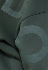 Smilodox UNISEX BRAIL SOLID - Sudadera - grün