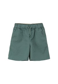 Shorts pour hommes, en tissu léger, de couleur verte douce. Équipés d'une taille élastique avec cordon de serrage et de poches latérales.