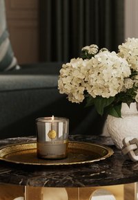 Hvit basilikumlys i et klart glasskrukke med metalldetaljer, plassert på en rund gullfat. I nærheten, hvite hortensiaer i en teksturert hvit vase.