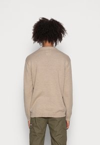Maglione beige lavorato a maglia con scollo a rotondo, polsini e bordo inferiore a coste. La texture presenta delle macchie di fibre più scure. Indossato sopra pantaloni cargo verdi oliva.