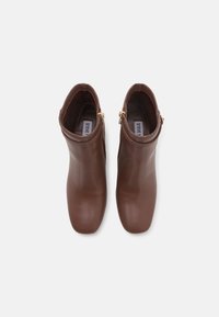 Steve Madden Botines bajos - dark cappuccino