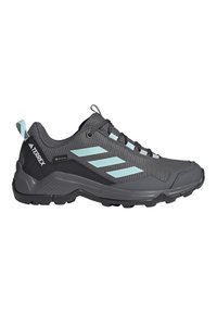 Mørkegrå Adidas Terrex tursko med lyseblå striper og bæresløyfe, robust såle, og Gore-Tex vanntett merke.