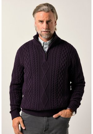 TROYER ZOPFMUSTER - Pullover - dark violet