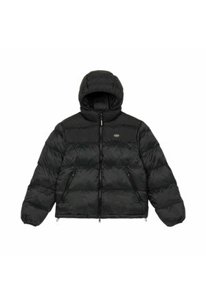 PUFFER ATOM - Giacca invernale - grigio