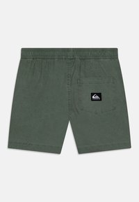 Pantaloni corti verdi con una vita elastica e una tasca posteriore con una patch nera del logo. Tessuto morbido con una texture liscia.