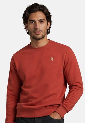 Man with dark hair wearing a rust-colored sweatshirt with a small embroidered logo on the chest, hand in pocket, neutral background.