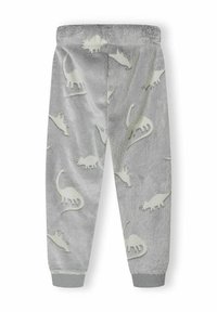 Gray plush sweatpants with embossed dinosaur patterns, elastic waistband, and grey ribbed cuffs. Soft texture and casual design.