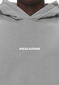 Pegador Felpa con cappuccio - grey