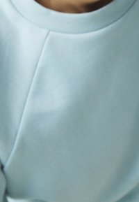 Světle modrá mikina s kulatým výstřihem, žebrovanými manžetami a hladkým, měkkým povrchem. Obsahuje jemné detaily švů.