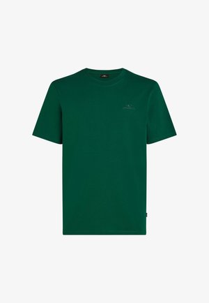Roheline puuvillane T-särk lühikeste varrukatega. Omab ümmargust kaelust ja väikest logo rinnal. Sile tekstuur, juhuslik disain.