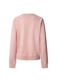 Sweatshirt rosa chiaro con collo rotondo, maniche raglan lunghe, polsini e orlo a coste. Texture morbida, design minimalista, senza motivi o accenti.