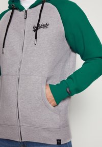 Graue Zip-Hoodie mit grünen Ärmeln, Kängurutaschen, mit Kordelzug und Logostickerei. Gerippte Bündchen und Saum, aus weichem Stoff gefertigt.