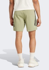 Světle zelené šortky vyrobené z měkké látky, s černými vertikálními pruhy po stranách. Zadní pohled ukazuje volný střih a minimální zdobení.