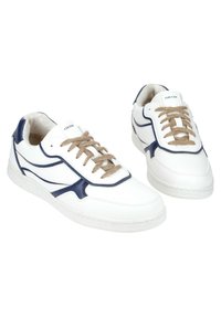 Geox WARRENS - Sneaker low - weiß/blau/weiß - Zalando.de