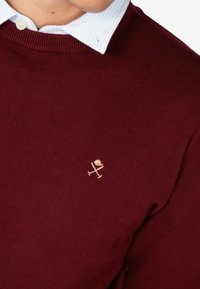 Bordowy sweter z prążkowanym dekoltem, nałożony na jasnoniebieską, pasiastego kołnierza. Posiada małą, jasno wyszywaną emblemat. Miękka tekstura.