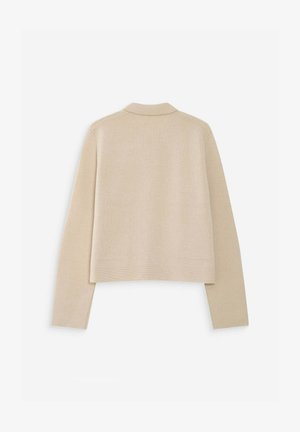 Maglione beige a maniche lunghe in maglia, con piccolo colletto e orlo dritto, mostrato dalla parte posteriore su uno sfondo bianco semplice.