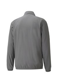 Grau Windbreaker-Jacke mit Stehkragen, elastischen Bündchen und Saum. Glattes Material ohne sichtbare Muster oder Akzente.
