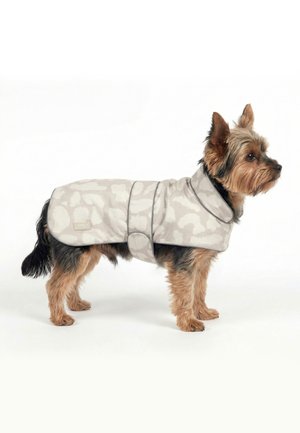 Small dog standing sideways wearing a gray patterned protective coat with a collar and strap under the belly against a white background.