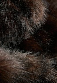 REGULAR FIT - PREMIUM VINTAGE INSPIRED - Talvemantel - chocolate brown