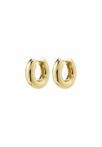 Orecchini - gold plated