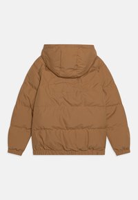 Lacoste BLOUSON CORE ESSENTIALS - Zimska jakna - cookie