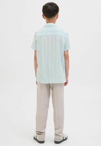 Lichtblauw gestreept shirt met korte mouwen en een kraag, gecombineerd met lichtbeige broek en zwarte schoenen, gezien vanuit de achterkant.