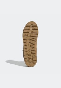 adidas Terrex Zapatillas de senderismo - beige