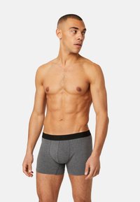 Gray boxer briefs made of stretch fabric, featuring a black logo waistband, fitted design, and mid-thigh length. Model poses without a shirt.